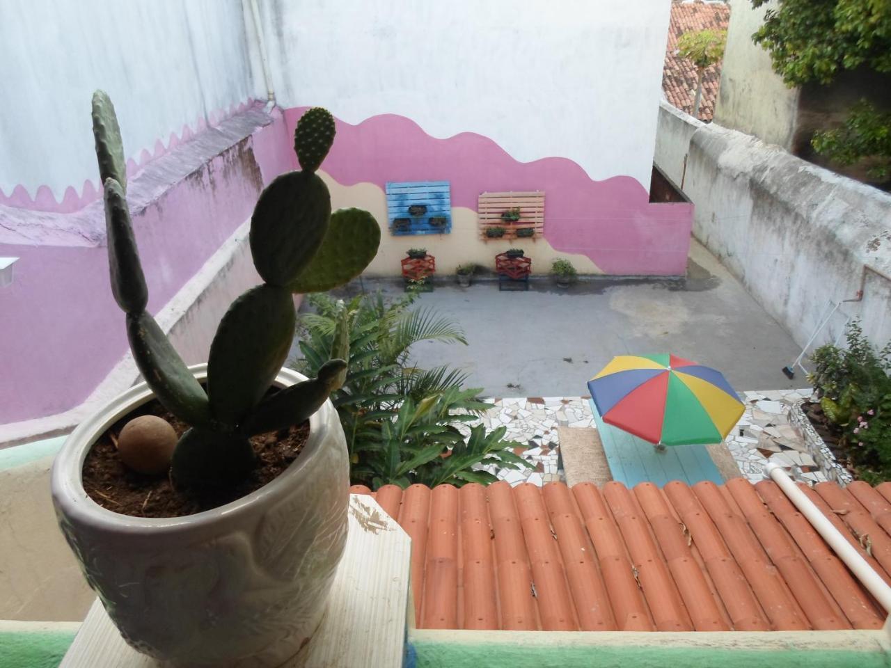 Oasis Do Sertao Hostel E Pousada 特里温福 外观 照片